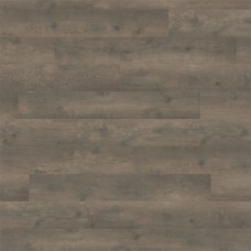 Oak Bergamo Carbon